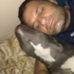 Meet your Posher, Steven